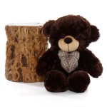 2 Feet Chocolate Brown Teddy Bear with a Bow